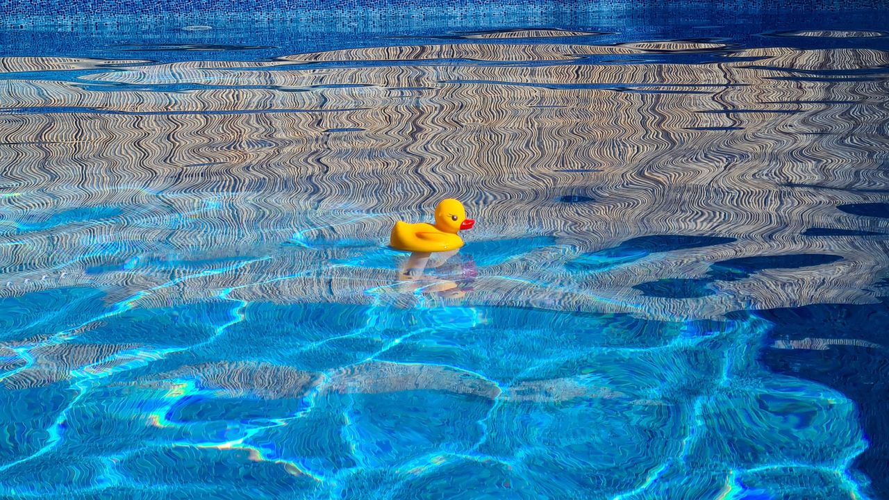 A yellow rubber duck floating in a clear blue swimming pool with reflections.